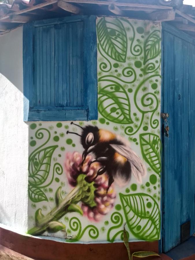 Aldeia Das Flores - Hostel E Camping Jacumã Kültér fotó