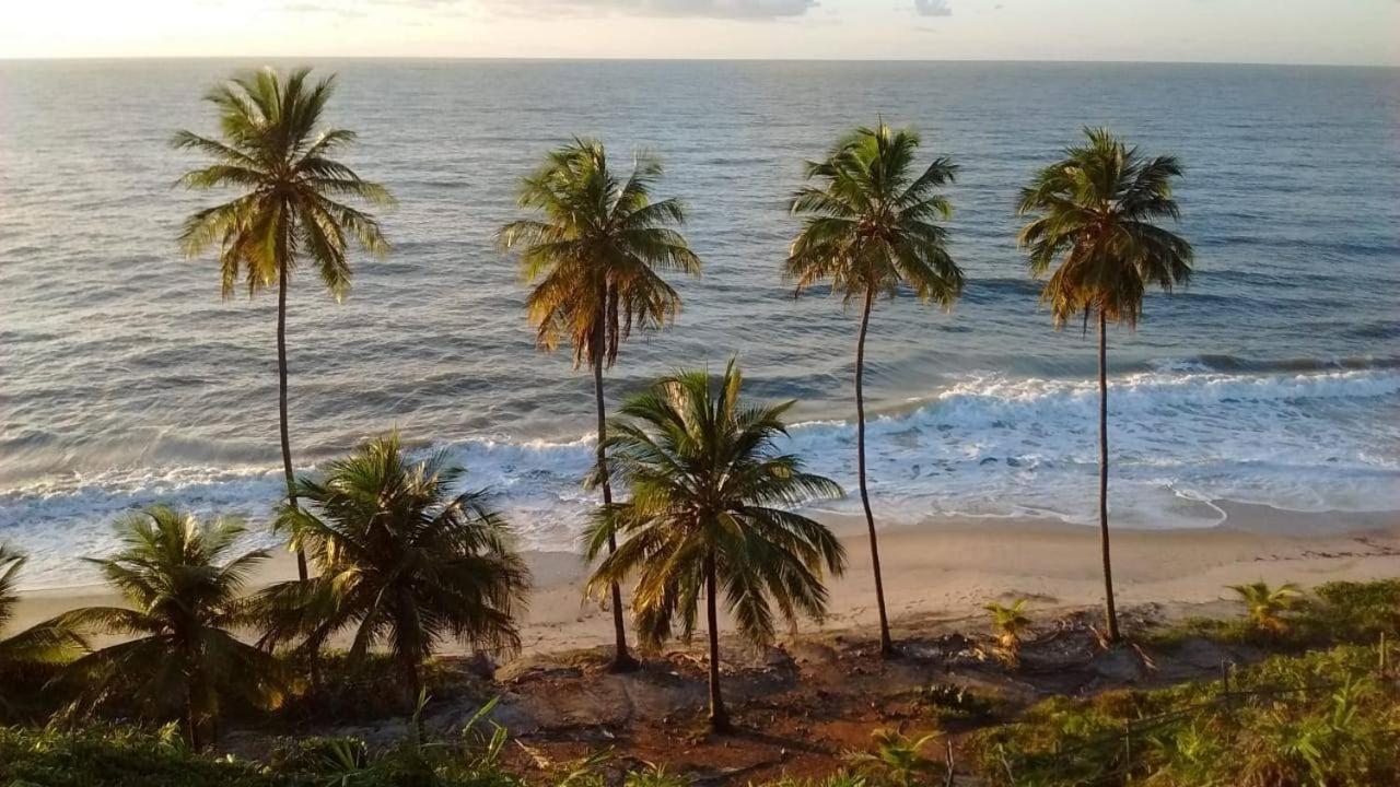 Aldeia Das Flores - Hostel E Camping Jacumã Kültér fotó