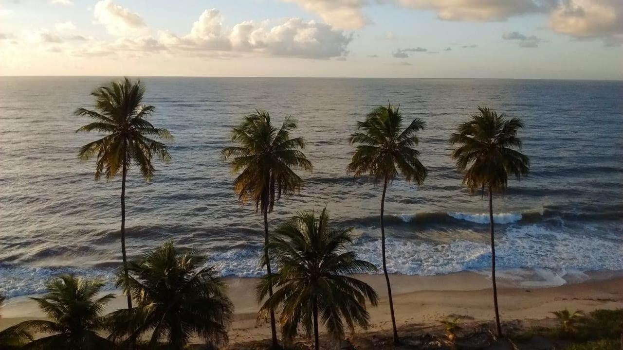 Aldeia Das Flores - Hostel E Camping Jacumã Kültér fotó